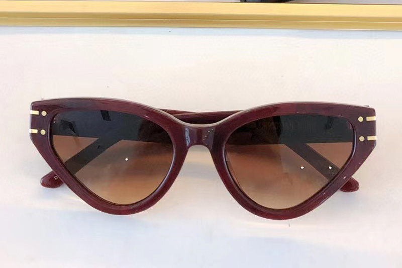 Dsgts6fxr Sunglasses Red Gradient Brown