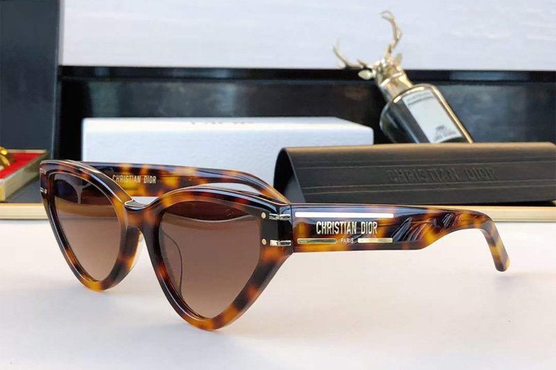 Dsgts6fxr Sunglasses Tortoise Gradient Brown