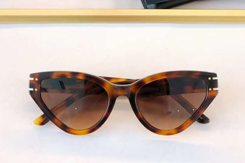 Dsgts6fxr Sunglasses Tortoise Gradient Brown