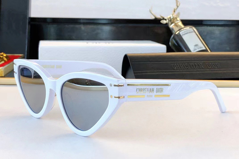 Dsgts6fxr Sunglasses White Silver