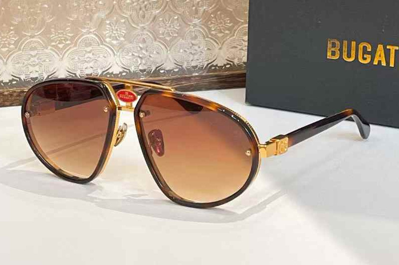 EB10 Sunglasses Tortoise Gradient Brown