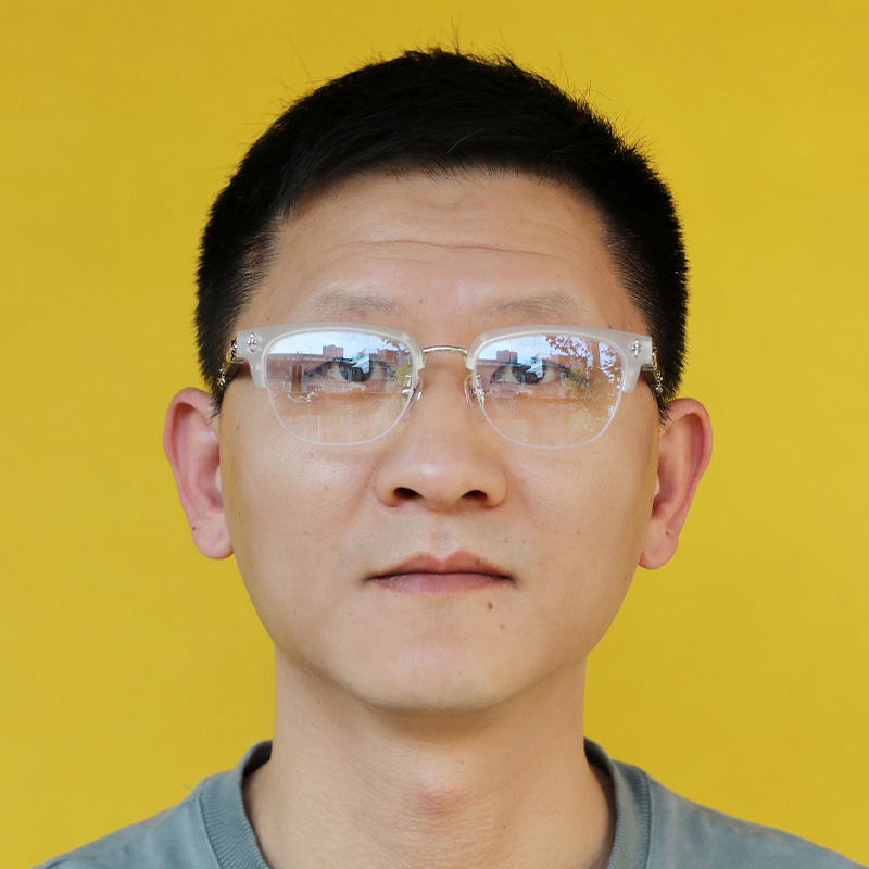 Evagilist Eyeglasses Clear Black Silver