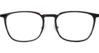 F4050-B Eyeglasses Black Brown Gold