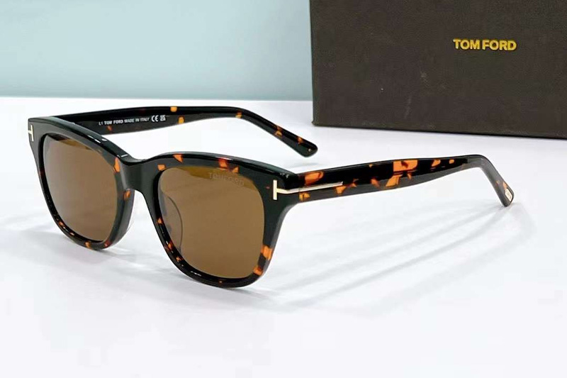 FT0237 Sunglasses Tortoise Brown