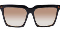 FT0764 Sunglasses In Black Brown