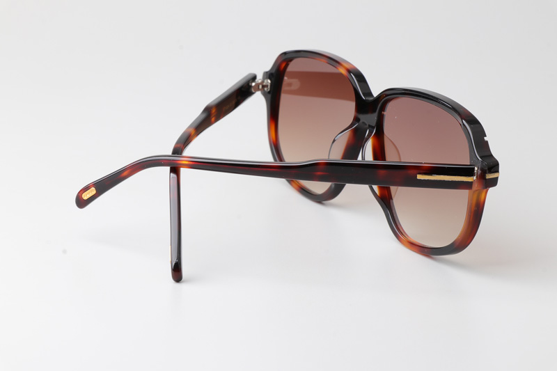 FT1024 Sunglasses Tortoise Gradient Brown