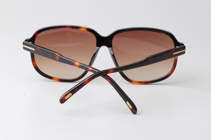 FT1024 Sunglasses Tortoise Gradient Brown