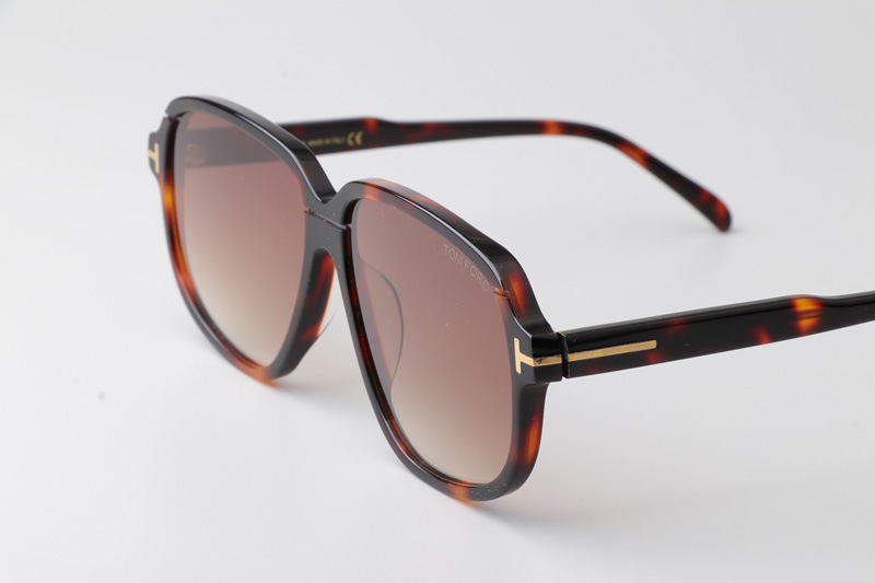 FT1024 Sunglasses Tortoise Gradient Brown