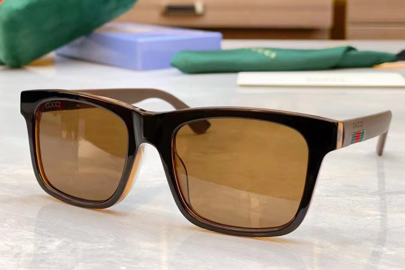 GG0008S Sunglasses In Brown