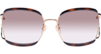 GG0593SA Sunglasses In Tortoise Gold Gradient Brown