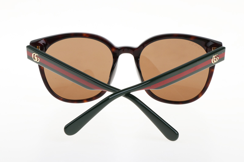 GG0855SK Sunglasses In Tortoise Green