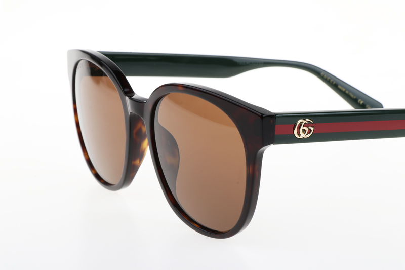 GG0855SK Sunglasses In Tortoise Green