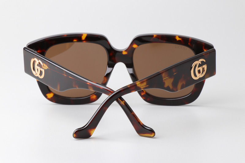 GG1546S Sunglasses Tortoise Brown