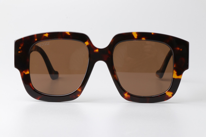 GG1546S Sunglasses Tortoise Brown