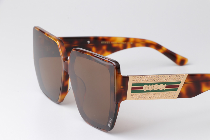 GG1595 Sunglasses Tortoise Brown