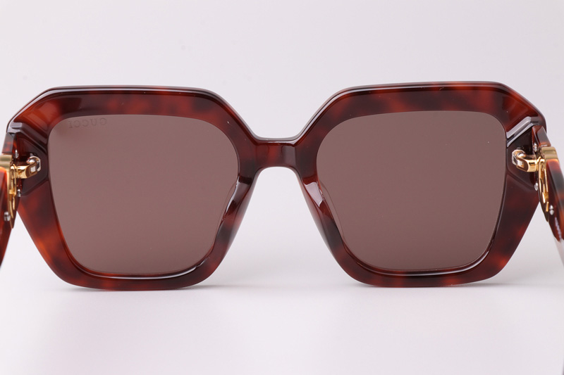 GG1597 Sunglasses Tortoise Brown