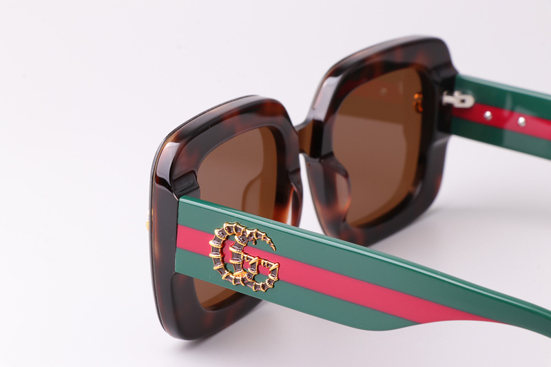 GG1606 Sunglasses Tortoise Green Brown