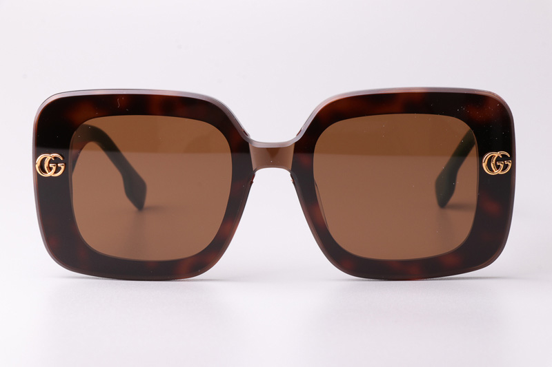 GG1606 Sunglasses Tortoise Green Brown