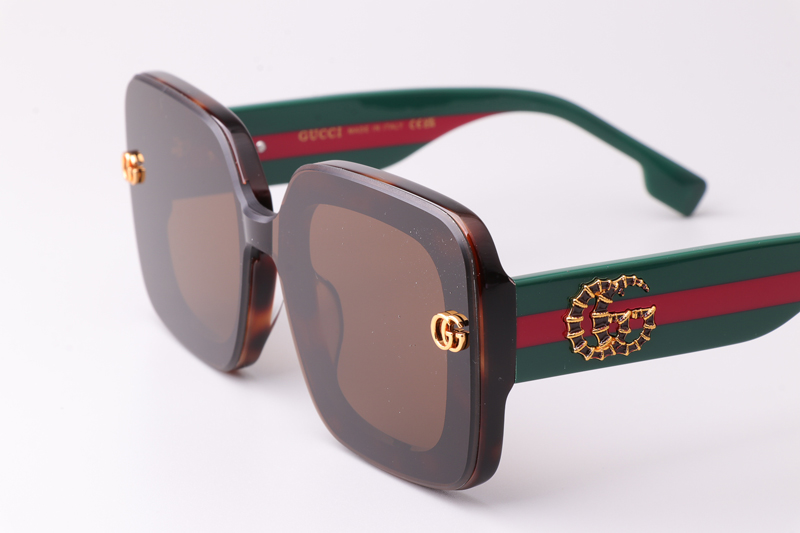 GG1606 Sunglasses Tortoise Green Brown