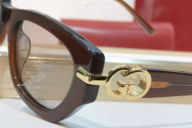 GG2155S Sunglasses Brown Brown