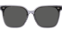 GM Sal Sunglasses Gray Gray