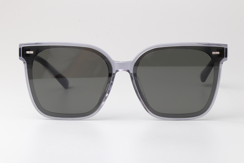 GM Sal Sunglasses Gray Gray