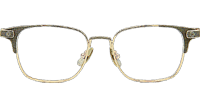 Gitnhed-A Eyeglasses Gold
