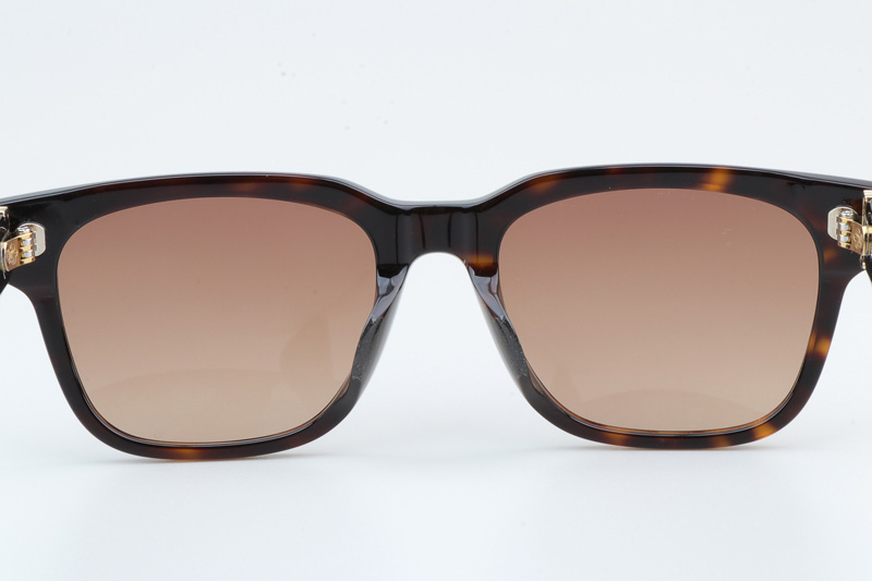 Givenhed II Sunglasses Tortoise Gold Gradient Brown