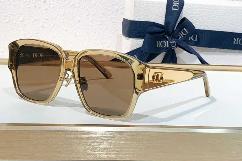 Glow S2F Sunglasses Brown Gold Brown