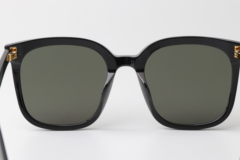HM86005 Sunglasses Black Gold Gray