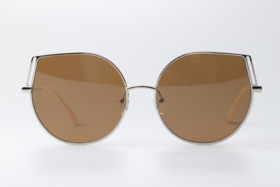 HM86008 Sunglasses Silver Brown