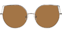 HM86008 Sunglasses Silver Brown