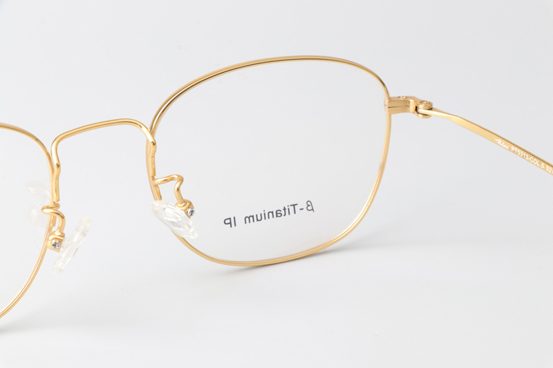 JZ5313 Eyeglasses Gold