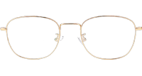 JZ5313 Eyeglasses Gold