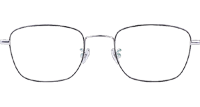 JZ5313 Eyeglasses Silver Black