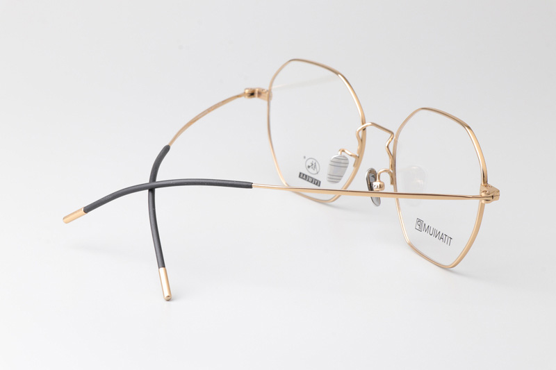 JZ8042 Eyeglasses Black Gold