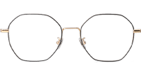 JZ8042 Eyeglasses Black Gold