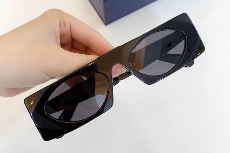L-V Z1253 Sunglasses In Black