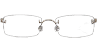 LB2120 Eyeglasses Bronze