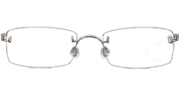 LB2120 Eyeglasses Gold