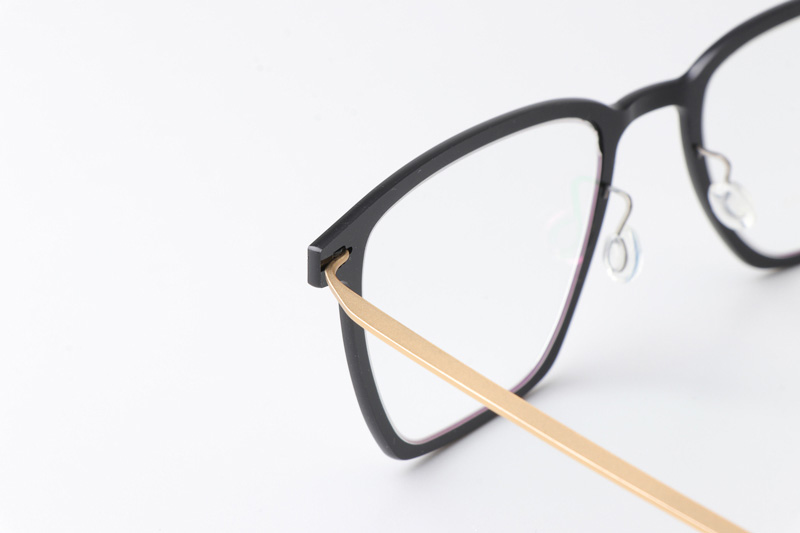 LB6554 Eyeglasses Black Gold