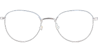 LY2001 Eyeglasses Blue Silver