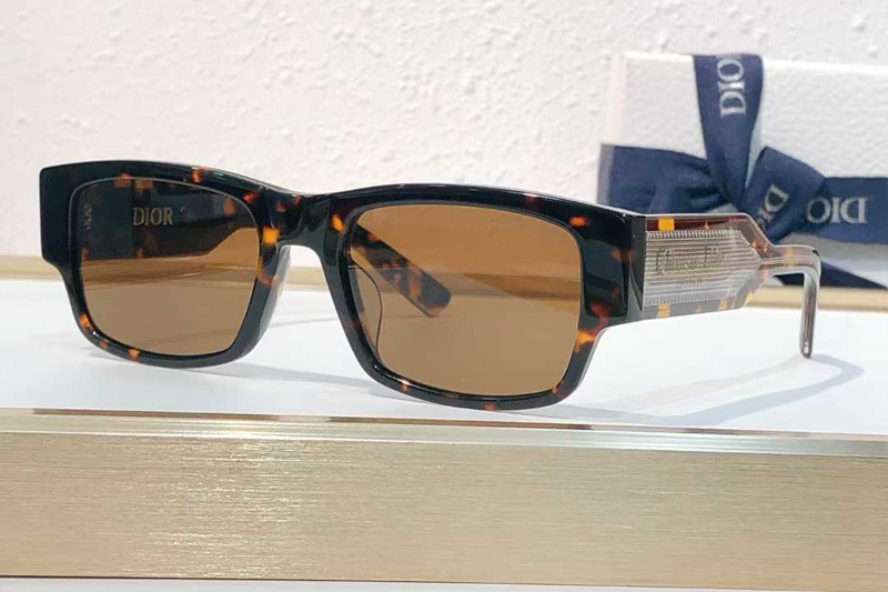 Label S1I Sunglasses Tortoise Brown