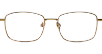 Lex Eyeglasses Gold