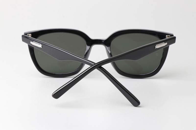 Lilit Sunglasses Black Gray