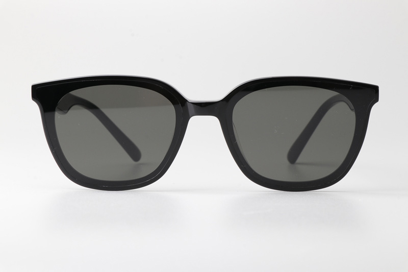 Lilit Sunglasses Black Gray