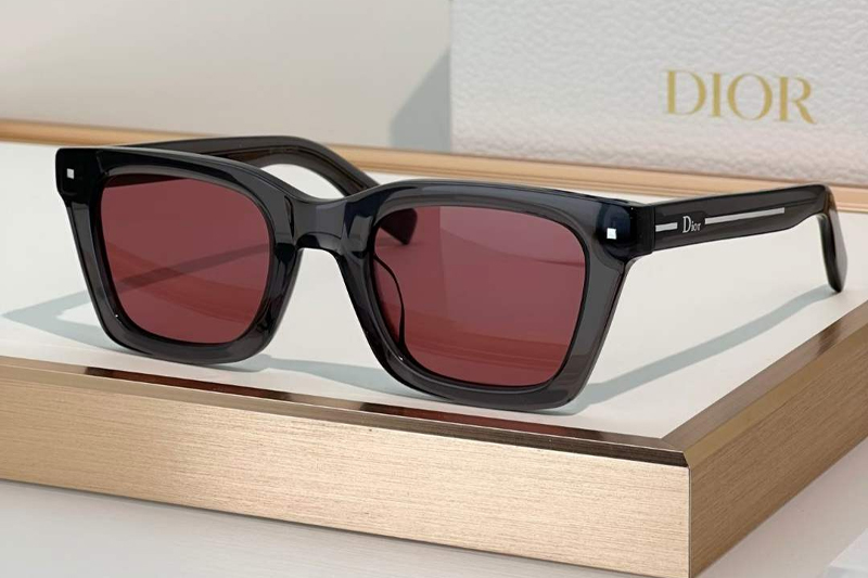 Line S1F Sunglasses Gray Pink
