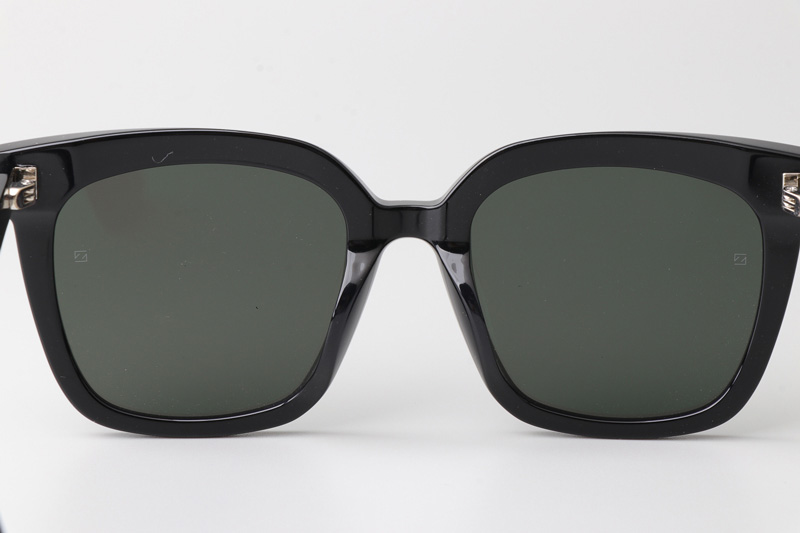 Locell Sunglasses Black Gray