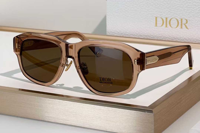 Midnight N1F Sunglasses Brown Brown