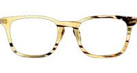 NJT2001 Eyeglasses Gray Yellow Gold